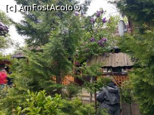 [P27] Prin curtea verde a morii. » foto by maryka
 - 
<span class="allrVoted glyphicon glyphicon-heart hidden" id="av1226047"></span>
<a class="m-l-10 hidden" id="sv1226047" onclick="voting_Foto_DelVot(,1226047,21522)" role="button">șterge vot <span class="glyphicon glyphicon-remove"></span></a>
<a id="v91226047" class=" c-red"  onclick="voting_Foto_SetVot(1226047)" role="button"><span class="glyphicon glyphicon-heart-empty"></span> <b>LIKE</b> = Votează poza</a> <img class="hidden"  id="f1226047W9" src="/imagini/loader.gif" border="0" /><span class="AjErrMes hidden" id="e1226047ErM"></span>