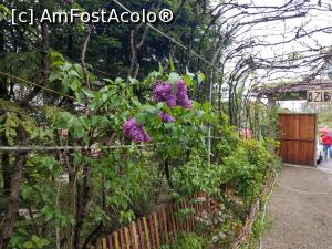 [P29] De prin curtea morii. » foto by maryka
 - 
<span class="allrVoted glyphicon glyphicon-heart hidden" id="av1226049"></span>
<a class="m-l-10 hidden" id="sv1226049" onclick="voting_Foto_DelVot(,1226049,21522)" role="button">șterge vot <span class="glyphicon glyphicon-remove"></span></a>
<a id="v91226049" class=" c-red"  onclick="voting_Foto_SetVot(1226049)" role="button"><span class="glyphicon glyphicon-heart-empty"></span> <b>LIKE</b> = Votează poza</a> <img class="hidden"  id="f1226049W9" src="/imagini/loader.gif" border="0" /><span class="AjErrMes hidden" id="e1226049ErM"></span>