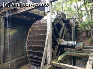 [P31] Roata morii se &icirc;nv&acirc;rtește... » foto by maryka
 - 
<span class="allrVoted glyphicon glyphicon-heart hidden" id="av1226051"></span>
<a class="m-l-10 hidden" id="sv1226051" onclick="voting_Foto_DelVot(,1226051,21522)" role="button">șterge vot <span class="glyphicon glyphicon-remove"></span></a>
<a id="v91226051" class=" c-red"  onclick="voting_Foto_SetVot(1226051)" role="button"><span class="glyphicon glyphicon-heart-empty"></span> <b>LIKE</b> = Votează poza</a> <img class="hidden"  id="f1226051W9" src="/imagini/loader.gif" border="0" /><span class="AjErrMes hidden" id="e1226051ErM"></span>