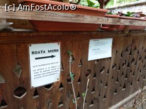 [P32] Explicații peste tot. » foto by maryka
 - 
<span class="allrVoted glyphicon glyphicon-heart hidden" id="av1226052"></span>
<a class="m-l-10 hidden" id="sv1226052" onclick="voting_Foto_DelVot(,1226052,21522)" role="button">șterge vot <span class="glyphicon glyphicon-remove"></span></a>
<a id="v91226052" class=" c-red"  onclick="voting_Foto_SetVot(1226052)" role="button"><span class="glyphicon glyphicon-heart-empty"></span> <b>LIKE</b> = Votează poza</a> <img class="hidden"  id="f1226052W9" src="/imagini/loader.gif" border="0" /><span class="AjErrMes hidden" id="e1226052ErM"></span>