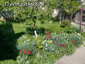 [P43] Florile mele. » foto by maryka
 - 
<span class="allrVoted glyphicon glyphicon-heart hidden" id="av1226087"></span>
<a class="m-l-10 hidden" id="sv1226087" onclick="voting_Foto_DelVot(,1226087,21522)" role="button">șterge vot <span class="glyphicon glyphicon-remove"></span></a>
<a id="v91226087" class=" c-red"  onclick="voting_Foto_SetVot(1226087)" role="button"><span class="glyphicon glyphicon-heart-empty"></span> <b>LIKE</b> = Votează poza</a> <img class="hidden"  id="f1226087W9" src="/imagini/loader.gif" border="0" /><span class="AjErrMes hidden" id="e1226087ErM"></span>