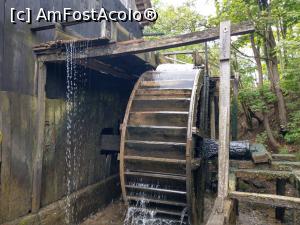 [P05] Roata morii, ajutată de forța apei. » foto by maryka
 - 
<span class="allrVoted glyphicon glyphicon-heart hidden" id="av1226021"></span>
<a class="m-l-10 hidden" id="sv1226021" onclick="voting_Foto_DelVot(,1226021,21522)" role="button">șterge vot <span class="glyphicon glyphicon-remove"></span></a>
<a id="v91226021" class=" c-red"  onclick="voting_Foto_SetVot(1226021)" role="button"><span class="glyphicon glyphicon-heart-empty"></span> <b>LIKE</b> = Votează poza</a> <img class="hidden"  id="f1226021W9" src="/imagini/loader.gif" border="0" /><span class="AjErrMes hidden" id="e1226021ErM"></span>