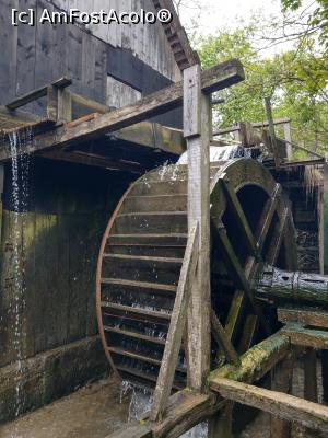 [P08] Roata morii, de aproape. » foto by maryka
 - 
<span class="allrVoted glyphicon glyphicon-heart hidden" id="av1226024"></span>
<a class="m-l-10 hidden" id="sv1226024" onclick="voting_Foto_DelVot(,1226024,21522)" role="button">șterge vot <span class="glyphicon glyphicon-remove"></span></a>
<a id="v91226024" class=" c-red"  onclick="voting_Foto_SetVot(1226024)" role="button"><span class="glyphicon glyphicon-heart-empty"></span> <b>LIKE</b> = Votează poza</a> <img class="hidden"  id="f1226024W9" src="/imagini/loader.gif" border="0" /><span class="AjErrMes hidden" id="e1226024ErM"></span>