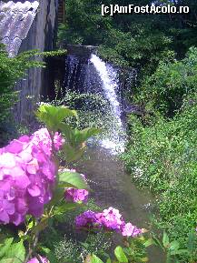 [P10] Râul care acţionează roata morii » foto by krondia*
 - 
<span class="allrVoted glyphicon glyphicon-heart hidden" id="av116936"></span>
<a class="m-l-10 hidden" id="sv116936" onclick="voting_Foto_DelVot(,116936,21522)" role="button">șterge vot <span class="glyphicon glyphicon-remove"></span></a>
<a id="v9116936" class=" c-red"  onclick="voting_Foto_SetVot(116936)" role="button"><span class="glyphicon glyphicon-heart-empty"></span> <b>LIKE</b> = Votează poza</a> <img class="hidden"  id="f116936W9" src="/imagini/loader.gif" border="0" /><span class="AjErrMes hidden" id="e116936ErM"></span>