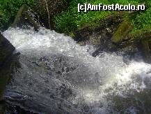 [P11]  -- <small>// FĂRĂ DESCRIERE</small> » foto by krondia*
 - 
<span class="allrVoted glyphicon glyphicon-heart hidden" id="av116937"></span>
<a class="m-l-10 hidden" id="sv116937" onclick="voting_Foto_DelVot(,116937,21522)" role="button">șterge vot <span class="glyphicon glyphicon-remove"></span></a>
<a id="v9116937" class=" c-red"  onclick="voting_Foto_SetVot(116937)" role="button"><span class="glyphicon glyphicon-heart-empty"></span> <b>LIKE</b> = Votează poza</a> <img class="hidden"  id="f116937W9" src="/imagini/loader.gif" border="0" /><span class="AjErrMes hidden" id="e116937ErM"></span>