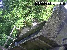 [P13] Jgheabul prin care se scurge apa de la moară » foto by krondia*
 - 
<span class="allrVoted glyphicon glyphicon-heart hidden" id="av116940"></span>
<a class="m-l-10 hidden" id="sv116940" onclick="voting_Foto_DelVot(,116940,21522)" role="button">șterge vot <span class="glyphicon glyphicon-remove"></span></a>
<a id="v9116940" class=" c-red"  onclick="voting_Foto_SetVot(116940)" role="button"><span class="glyphicon glyphicon-heart-empty"></span> <b>LIKE</b> = Votează poza</a> <img class="hidden"  id="f116940W9" src="/imagini/loader.gif" border="0" /><span class="AjErrMes hidden" id="e116940ErM"></span>