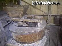 [P16]  -- <small>// FĂRĂ DESCRIERE</small> » foto by krondia*
 - 
<span class="allrVoted glyphicon glyphicon-heart hidden" id="av116946"></span>
<a class="m-l-10 hidden" id="sv116946" onclick="voting_Foto_DelVot(,116946,21522)" role="button">șterge vot <span class="glyphicon glyphicon-remove"></span></a>
<a id="v9116946" class=" c-red"  onclick="voting_Foto_SetVot(116946)" role="button"><span class="glyphicon glyphicon-heart-empty"></span> <b>LIKE</b> = Votează poza</a> <img class="hidden"  id="f116946W9" src="/imagini/loader.gif" border="0" /><span class="AjErrMes hidden" id="e116946ErM"></span>