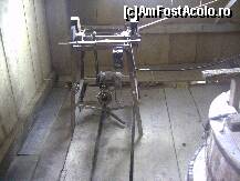 [P18]  -- <small>// FĂRĂ DESCRIERE</small> » foto by krondia*
 - 
<span class="allrVoted glyphicon glyphicon-heart hidden" id="av116949"></span>
<a class="m-l-10 hidden" id="sv116949" onclick="voting_Foto_DelVot(,116949,21522)" role="button">șterge vot <span class="glyphicon glyphicon-remove"></span></a>
<a id="v9116949" class=" c-red"  onclick="voting_Foto_SetVot(116949)" role="button"><span class="glyphicon glyphicon-heart-empty"></span> <b>LIKE</b> = Votează poza</a> <img class="hidden"  id="f116949W9" src="/imagini/loader.gif" border="0" /><span class="AjErrMes hidden" id="e116949ErM"></span>