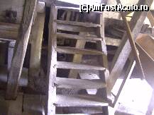 [P19]  -- <small>// FĂRĂ DESCRIERE</small> » foto by krondia*
 - 
<span class="allrVoted glyphicon glyphicon-heart hidden" id="av116950"></span>
<a class="m-l-10 hidden" id="sv116950" onclick="voting_Foto_DelVot(,116950,21522)" role="button">șterge vot <span class="glyphicon glyphicon-remove"></span></a>
<a id="v9116950" class=" c-red"  onclick="voting_Foto_SetVot(116950)" role="button"><span class="glyphicon glyphicon-heart-empty"></span> <b>LIKE</b> = Votează poza</a> <img class="hidden"  id="f116950W9" src="/imagini/loader.gif" border="0" /><span class="AjErrMes hidden" id="e116950ErM"></span>