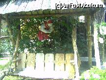 [P08] La intrarea în moară este amenajat şi un balansoar rustic » foto by krondia*
 - 
<span class="allrVoted glyphicon glyphicon-heart hidden" id="av116922"></span>
<a class="m-l-10 hidden" id="sv116922" onclick="voting_Foto_DelVot(,116922,21522)" role="button">șterge vot <span class="glyphicon glyphicon-remove"></span></a>
<a id="v9116922" class=" c-red"  onclick="voting_Foto_SetVot(116922)" role="button"><span class="glyphicon glyphicon-heart-empty"></span> <b>LIKE</b> = Votează poza</a> <img class="hidden"  id="f116922W9" src="/imagini/loader.gif" border="0" /><span class="AjErrMes hidden" id="e116922ErM"></span>