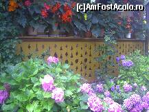 [P09] Florile de toate culorile din curtea pensiunii » foto by krondia*
 - 
<span class="allrVoted glyphicon glyphicon-heart hidden" id="av116924"></span>
<a class="m-l-10 hidden" id="sv116924" onclick="voting_Foto_DelVot(,116924,21522)" role="button">șterge vot <span class="glyphicon glyphicon-remove"></span></a>
<a id="v9116924" class=" c-red"  onclick="voting_Foto_SetVot(116924)" role="button"><span class="glyphicon glyphicon-heart-empty"></span> <b>LIKE</b> = Votează poza</a> <img class="hidden"  id="f116924W9" src="/imagini/loader.gif" border="0" /><span class="AjErrMes hidden" id="e116924ErM"></span>