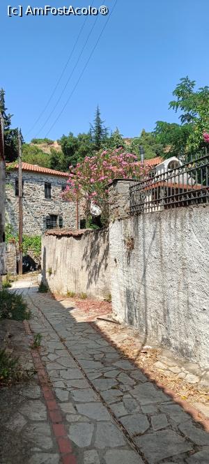 [P25] Old Nikiti - alei înguste. » foto by tata123 🔱
 - 
<span class="allrVoted glyphicon glyphicon-heart hidden" id="av1500242"></span>
<a class="m-l-10 hidden" id="sv1500242" onclick="voting_Foto_DelVot(,1500242,21533)" role="button">șterge vot <span class="glyphicon glyphicon-remove"></span></a>
<a id="v91500242" class=" c-red"  onclick="voting_Foto_SetVot(1500242)" role="button"><span class="glyphicon glyphicon-heart-empty"></span> <b>LIKE</b> = Votează poza</a> <img class="hidden"  id="f1500242W9" src="/imagini/loader.gif" border="0" /><span class="AjErrMes hidden" id="e1500242ErM"></span>