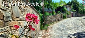 [P09] Parthenonas - pe străzile înguste. » foto by tata123 🔱
 - 
<span class="allrVoted glyphicon glyphicon-heart hidden" id="av1500226"></span>
<a class="m-l-10 hidden" id="sv1500226" onclick="voting_Foto_DelVot(,1500226,21533)" role="button">șterge vot <span class="glyphicon glyphicon-remove"></span></a>
<a id="v91500226" class=" c-red"  onclick="voting_Foto_SetVot(1500226)" role="button"><span class="glyphicon glyphicon-heart-empty"></span> <b>LIKE</b> = Votează poza</a> <img class="hidden"  id="f1500226W9" src="/imagini/loader.gif" border="0" /><span class="AjErrMes hidden" id="e1500226ErM"></span>