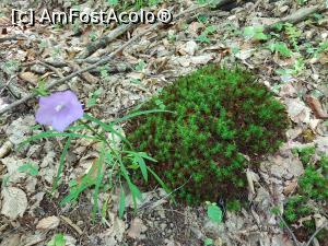 [P25] Drumeția la Cetatea Colț a fost interesantă. » foto by Floryn81
 - 
<span class="allrVoted glyphicon glyphicon-heart hidden" id="av1210512"></span>
<a class="m-l-10 hidden" id="sv1210512" onclick="voting_Foto_DelVot(,1210512,21553)" role="button">șterge vot <span class="glyphicon glyphicon-remove"></span></a>
<a id="v91210512" class=" c-red"  onclick="voting_Foto_SetVot(1210512)" role="button"><span class="glyphicon glyphicon-heart-empty"></span> <b>LIKE</b> = Votează poza</a> <img class="hidden"  id="f1210512W9" src="/imagini/loader.gif" border="0" /><span class="AjErrMes hidden" id="e1210512ErM"></span>