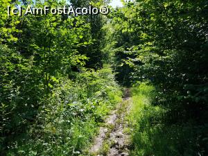 [P04] Poteca nu este marcată și pare că se pierde printre tufișuri. » foto by Floryn81
 - 
<span class="allrVoted glyphicon glyphicon-heart hidden" id="av1210491"></span>
<a class="m-l-10 hidden" id="sv1210491" onclick="voting_Foto_DelVot(,1210491,21553)" role="button">șterge vot <span class="glyphicon glyphicon-remove"></span></a>
<a id="v91210491" class=" c-red"  onclick="voting_Foto_SetVot(1210491)" role="button"><span class="glyphicon glyphicon-heart-empty"></span> <b>LIKE</b> = Votează poza</a> <img class="hidden"  id="f1210491W9" src="/imagini/loader.gif" border="0" /><span class="AjErrMes hidden" id="e1210491ErM"></span>
