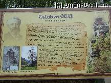 [P09] Cetatea Colt » foto by Half_Evil
 - 
<span class="allrVoted glyphicon glyphicon-heart hidden" id="av69160"></span>
<a class="m-l-10 hidden" id="sv69160" onclick="voting_Foto_DelVot(,69160,21553)" role="button">șterge vot <span class="glyphicon glyphicon-remove"></span></a>
<a id="v969160" class=" c-red"  onclick="voting_Foto_SetVot(69160)" role="button"><span class="glyphicon glyphicon-heart-empty"></span> <b>LIKE</b> = Votează poza</a> <img class="hidden"  id="f69160W9" src="/imagini/loader.gif" border="0" /><span class="AjErrMes hidden" id="e69160ErM"></span>