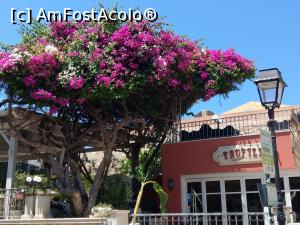 [P02] Rethymnon, o paletă largă de culori frumoase... 
Aici în spate pe străduță este Muzeul de Artă Contemporană. » foto by maryka
 - 
<span class="allrVoted glyphicon glyphicon-heart hidden" id="av1199173"></span>
<a class="m-l-10 hidden" id="sv1199173" onclick="voting_Foto_DelVot(,1199173,21565)" role="button">șterge vot <span class="glyphicon glyphicon-remove"></span></a>
<a id="v91199173" class=" c-red"  onclick="voting_Foto_SetVot(1199173)" role="button"><span class="glyphicon glyphicon-heart-empty"></span> <b>LIKE</b> = Votează poza</a> <img class="hidden"  id="f1199173W9" src="/imagini/loader.gif" border="0" /><span class="AjErrMes hidden" id="e1199173ErM"></span>