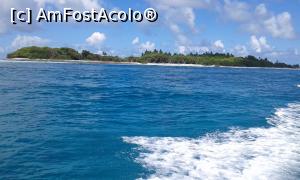 [P13]  -- <small>// FĂRĂ DESCRIERE</small> » foto by IDACO
 - 
<span class="allrVoted glyphicon glyphicon-heart hidden" id="av834535"></span>
<a class="m-l-10 hidden" id="sv834535" onclick="voting_Foto_DelVot(,834535,21569)" role="button">șterge vot <span class="glyphicon glyphicon-remove"></span></a>
<a id="v9834535" class=" c-red"  onclick="voting_Foto_SetVot(834535)" role="button"><span class="glyphicon glyphicon-heart-empty"></span> <b>LIKE</b> = Votează poza</a> <img class="hidden"  id="f834535W9" src="/imagini/loader.gif" border="0" /><span class="AjErrMes hidden" id="e834535ErM"></span>