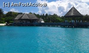 [P14]  -- <small>// FĂRĂ DESCRIERE</small> » foto by IDACO
 - 
<span class="allrVoted glyphicon glyphicon-heart hidden" id="av834537"></span>
<a class="m-l-10 hidden" id="sv834537" onclick="voting_Foto_DelVot(,834537,21569)" role="button">șterge vot <span class="glyphicon glyphicon-remove"></span></a>
<a id="v9834537" class=" c-red"  onclick="voting_Foto_SetVot(834537)" role="button"><span class="glyphicon glyphicon-heart-empty"></span> <b>LIKE</b> = Votează poza</a> <img class="hidden"  id="f834537W9" src="/imagini/loader.gif" border="0" /><span class="AjErrMes hidden" id="e834537ErM"></span>