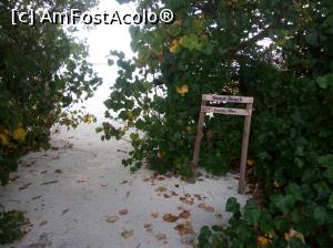 [P16] Accesul la plaja » foto by IDACO
 - 
<span class="allrVoted glyphicon glyphicon-heart hidden" id="av834542"></span>
<a class="m-l-10 hidden" id="sv834542" onclick="voting_Foto_DelVot(,834542,21569)" role="button">șterge vot <span class="glyphicon glyphicon-remove"></span></a>
<a id="v9834542" class=" c-red"  onclick="voting_Foto_SetVot(834542)" role="button"><span class="glyphicon glyphicon-heart-empty"></span> <b>LIKE</b> = Votează poza</a> <img class="hidden"  id="f834542W9" src="/imagini/loader.gif" border="0" /><span class="AjErrMes hidden" id="e834542ErM"></span>