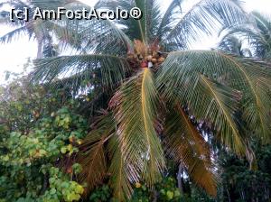 [P18]  -- <small>// FĂRĂ DESCRIERE</small> » foto by IDACO
 - 
<span class="allrVoted glyphicon glyphicon-heart hidden" id="av834544"></span>
<a class="m-l-10 hidden" id="sv834544" onclick="voting_Foto_DelVot(,834544,21569)" role="button">șterge vot <span class="glyphicon glyphicon-remove"></span></a>
<a id="v9834544" class=" c-red"  onclick="voting_Foto_SetVot(834544)" role="button"><span class="glyphicon glyphicon-heart-empty"></span> <b>LIKE</b> = Votează poza</a> <img class="hidden"  id="f834544W9" src="/imagini/loader.gif" border="0" /><span class="AjErrMes hidden" id="e834544ErM"></span>