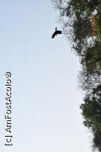 [P06] am avut noroc si de o mica reprezentație » foto by robert
 - 
<span class="allrVoted glyphicon glyphicon-heart hidden" id="av837483"></span>
<a class="m-l-10 hidden" id="sv837483" onclick="voting_Foto_DelVot(,837483,21572)" role="button">șterge vot <span class="glyphicon glyphicon-remove"></span></a>
<a id="v9837483" class=" c-red"  onclick="voting_Foto_SetVot(837483)" role="button"><span class="glyphicon glyphicon-heart-empty"></span> <b>LIKE</b> = Votează poza</a> <img class="hidden"  id="f837483W9" src="/imagini/loader.gif" border="0" /><span class="AjErrMes hidden" id="e837483ErM"></span>