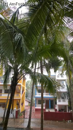 [P06] Plouă in decembrie! Strada noastră in Palolem, majoritatea vecinilor sunt israelieni si englezi!  » foto by nikinik
 - 
<span class="allrVoted glyphicon glyphicon-heart hidden" id="av943088"></span>
<a class="m-l-10 hidden" id="sv943088" onclick="voting_Foto_DelVot(,943088,21572)" role="button">șterge vot <span class="glyphicon glyphicon-remove"></span></a>
<a id="v9943088" class=" c-red"  onclick="voting_Foto_SetVot(943088)" role="button"><span class="glyphicon glyphicon-heart-empty"></span> <b>LIKE</b> = Votează poza</a> <img class="hidden"  id="f943088W9" src="/imagini/loader.gif" border="0" /><span class="AjErrMes hidden" id="e943088ErM"></span>