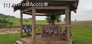 [P04] Foisorul Dungo » foto by Maties Ion
 - 
<span class="allrVoted glyphicon glyphicon-heart hidden" id="av1190070"></span>
<a class="m-l-10 hidden" id="sv1190070" onclick="voting_Foto_DelVot(,1190070,21581)" role="button">șterge vot <span class="glyphicon glyphicon-remove"></span></a>
<a id="v91190070" class=" c-red"  onclick="voting_Foto_SetVot(1190070)" role="button"><span class="glyphicon glyphicon-heart-empty"></span> <b>LIKE</b> = Votează poza</a> <img class="hidden"  id="f1190070W9" src="/imagini/loader.gif" border="0" /><span class="AjErrMes hidden" id="e1190070ErM"></span>