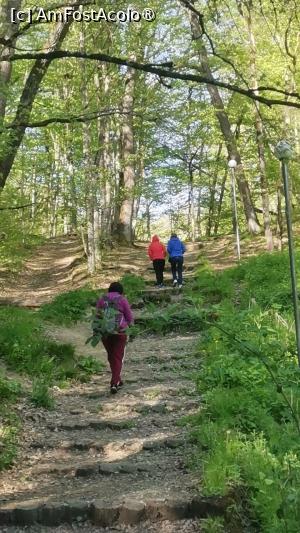 [P16] Plimbare prin padurea din jurul lacului Ursu » foto by dorgo
 - 
<span class="allrVoted glyphicon glyphicon-heart hidden" id="av1527785"></span>
<a class="m-l-10 hidden" id="sv1527785" onclick="voting_Foto_DelVot(,1527785,21581)" role="button">șterge vot <span class="glyphicon glyphicon-remove"></span></a>
<a id="v91527785" class=" c-red"  onclick="voting_Foto_SetVot(1527785)" role="button"><span class="glyphicon glyphicon-heart-empty"></span> <b>LIKE</b> = Votează poza</a> <img class="hidden"  id="f1527785W9" src="/imagini/loader.gif" border="0" /><span class="AjErrMes hidden" id="e1527785ErM"></span>