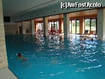 [P01] Piscina interioara complex Wolf....cu mic, cu mare la balaceala  :-) » foto by Tempo
 - 
<span class="allrVoted glyphicon glyphicon-heart hidden" id="av246711"></span>
<a class="m-l-10 hidden" id="sv246711" onclick="voting_Foto_DelVot(,246711,21593)" role="button">șterge vot <span class="glyphicon glyphicon-remove"></span></a>
<a id="v9246711" class=" c-red"  onclick="voting_Foto_SetVot(246711)" role="button"><span class="glyphicon glyphicon-heart-empty"></span> <b>LIKE</b> = Votează poza</a> <img class="hidden"  id="f246711W9" src="/imagini/loader.gif" border="0" /><span class="AjErrMes hidden" id="e246711ErM"></span>