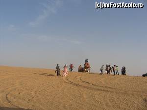 [P01] Safari in desert » foto by monaserban
 - 
<span class="allrVoted glyphicon glyphicon-heart hidden" id="av506637"></span>
<a class="m-l-10 hidden" id="sv506637" onclick="voting_Foto_DelVot(,506637,21594)" role="button">șterge vot <span class="glyphicon glyphicon-remove"></span></a>
<a id="v9506637" class=" c-red"  onclick="voting_Foto_SetVot(506637)" role="button"><span class="glyphicon glyphicon-heart-empty"></span> <b>LIKE</b> = Votează poza</a> <img class="hidden"  id="f506637W9" src="/imagini/loader.gif" border="0" /><span class="AjErrMes hidden" id="e506637ErM"></span>