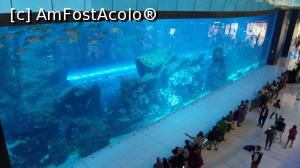 [P56] Dubai Mall » foto by eduardvl
 - 
<span class="allrVoted glyphicon glyphicon-heart hidden" id="av1057771"></span>
<a class="m-l-10 hidden" id="sv1057771" onclick="voting_Foto_DelVot(,1057771,21594)" role="button">șterge vot <span class="glyphicon glyphicon-remove"></span></a>
<a id="v91057771" class=" c-red"  onclick="voting_Foto_SetVot(1057771)" role="button"><span class="glyphicon glyphicon-heart-empty"></span> <b>LIKE</b> = Votează poza</a> <img class="hidden"  id="f1057771W9" src="/imagini/loader.gif" border="0" /><span class="AjErrMes hidden" id="e1057771ErM"></span>