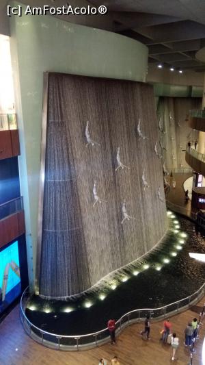 [P58] Cascada Dubai Mall » foto by eduardvl
 - 
<span class="allrVoted glyphicon glyphicon-heart hidden" id="av1057773"></span>
<a class="m-l-10 hidden" id="sv1057773" onclick="voting_Foto_DelVot(,1057773,21594)" role="button">șterge vot <span class="glyphicon glyphicon-remove"></span></a>
<a id="v91057773" class=" c-red"  onclick="voting_Foto_SetVot(1057773)" role="button"><span class="glyphicon glyphicon-heart-empty"></span> <b>LIKE</b> = Votează poza</a> <img class="hidden"  id="f1057773W9" src="/imagini/loader.gif" border="0" /><span class="AjErrMes hidden" id="e1057773ErM"></span>