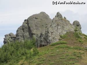 [P10]  -- <small>// FĂRĂ DESCRIERE</small> » foto by Testosu'
 - 
<span class="allrVoted glyphicon glyphicon-heart hidden" id="av561090"></span>
<a class="m-l-10 hidden" id="sv561090" onclick="voting_Foto_DelVot(,561090,21597)" role="button">șterge vot <span class="glyphicon glyphicon-remove"></span></a>
<a id="v9561090" class=" c-red"  onclick="voting_Foto_SetVot(561090)" role="button"><span class="glyphicon glyphicon-heart-empty"></span> <b>LIKE</b> = Votează poza</a> <img class="hidden"  id="f561090W9" src="/imagini/loader.gif" border="0" /><span class="AjErrMes hidden" id="e561090ErM"></span>