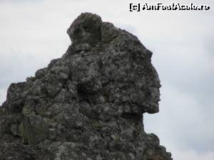 [P14] Nefertiti » foto by Testosu'
 - 
<span class="allrVoted glyphicon glyphicon-heart hidden" id="av561094"></span>
<a class="m-l-10 hidden" id="sv561094" onclick="voting_Foto_DelVot(,561094,21597)" role="button">șterge vot <span class="glyphicon glyphicon-remove"></span></a>
<a id="v9561094" class=" c-red"  onclick="voting_Foto_SetVot(561094)" role="button"><span class="glyphicon glyphicon-heart-empty"></span> <b>LIKE</b> = Votează poza</a> <img class="hidden"  id="f561094W9" src="/imagini/loader.gif" border="0" /><span class="AjErrMes hidden" id="e561094ErM"></span>