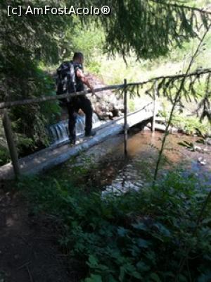 [P05]  -- <small>// FĂRĂ DESCRIERE</small> » foto by lumit06
 - 
<span class="allrVoted glyphicon glyphicon-heart hidden" id="av1179254"></span>
<a class="m-l-10 hidden" id="sv1179254" onclick="voting_Foto_DelVot(,1179254,21597)" role="button">șterge vot <span class="glyphicon glyphicon-remove"></span></a>
<a id="v91179254" class=" c-red"  onclick="voting_Foto_SetVot(1179254)" role="button"><span class="glyphicon glyphicon-heart-empty"></span> <b>LIKE</b> = Votează poza</a> <img class="hidden"  id="f1179254W9" src="/imagini/loader.gif" border="0" /><span class="AjErrMes hidden" id="e1179254ErM"></span>