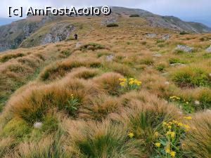 [P21] Vârful Pietrosul Călimanilor(2102m) cel mai înalt vârf vulcanic din M-ții Călimani și Vârful Negoiu Unguresc (2081m) » foto by Dana2008
 - 
<span class="allrVoted glyphicon glyphicon-heart hidden" id="av1180427"></span>
<a class="m-l-10 hidden" id="sv1180427" onclick="voting_Foto_DelVot(,1180427,21597)" role="button">șterge vot <span class="glyphicon glyphicon-remove"></span></a>
<a id="v91180427" class=" c-red"  onclick="voting_Foto_SetVot(1180427)" role="button"><span class="glyphicon glyphicon-heart-empty"></span> <b>LIKE</b> = Votează poza</a> <img class="hidden"  id="f1180427W9" src="/imagini/loader.gif" border="0" /><span class="AjErrMes hidden" id="e1180427ErM"></span>