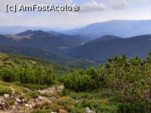 [P32] Vârful Pietrosul Călimanilor(2102m) cel mai înalt vârf vulcanic din M-ții Călimani și Vârful Negoiu Unguresc (2081m) » foto by Dana2008
 - 
<span class="allrVoted glyphicon glyphicon-heart hidden" id="av1180438"></span>
<a class="m-l-10 hidden" id="sv1180438" onclick="voting_Foto_DelVot(,1180438,21597)" role="button">șterge vot <span class="glyphicon glyphicon-remove"></span></a>
<a id="v91180438" class=" c-red"  onclick="voting_Foto_SetVot(1180438)" role="button"><span class="glyphicon glyphicon-heart-empty"></span> <b>LIKE</b> = Votează poza</a> <img class="hidden"  id="f1180438W9" src="/imagini/loader.gif" border="0" /><span class="AjErrMes hidden" id="e1180438ErM"></span>