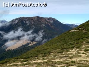 [P14] Spre Vârfurile  Negoiu Unguresc și  Pietrosul Călimanilor » foto by Mika
 - 
<span class="allrVoted glyphicon glyphicon-heart hidden" id="av1264656"></span>
<a class="m-l-10 hidden" id="sv1264656" onclick="voting_Foto_DelVot(,1264656,21597)" role="button">șterge vot <span class="glyphicon glyphicon-remove"></span></a>
<a id="v91264656" class=" c-red"  onclick="voting_Foto_SetVot(1264656)" role="button"><span class="glyphicon glyphicon-heart-empty"></span> <b>LIKE</b> = Votează poza</a> <img class="hidden"  id="f1264656W9" src="/imagini/loader.gif" border="0" /><span class="AjErrMes hidden" id="e1264656ErM"></span>