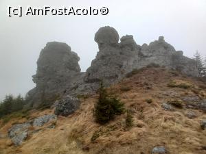 [P14] 12 Apostoli » foto by Mika
 - 
<span class="allrVoted glyphicon glyphicon-heart hidden" id="av1265497"></span>
<a class="m-l-10 hidden" id="sv1265497" onclick="voting_Foto_DelVot(,1265497,21597)" role="button">șterge vot <span class="glyphicon glyphicon-remove"></span></a>
<a id="v91265497" class=" c-red"  onclick="voting_Foto_SetVot(1265497)" role="button"><span class="glyphicon glyphicon-heart-empty"></span> <b>LIKE</b> = Votează poza</a> <img class="hidden"  id="f1265497W9" src="/imagini/loader.gif" border="0" /><span class="AjErrMes hidden" id="e1265497ErM"></span>