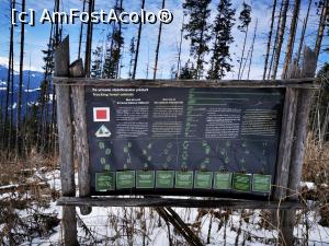 [P26] Panou informativ cu urmele animalelor » foto by cata2106
 - 
<span class="allrVoted glyphicon glyphicon-heart hidden" id="av1221788"></span>
<a class="m-l-10 hidden" id="sv1221788" onclick="voting_Foto_DelVot(,1221788,21597)" role="button">șterge vot <span class="glyphicon glyphicon-remove"></span></a>
<a id="v91221788" class=" c-red"  onclick="voting_Foto_SetVot(1221788)" role="button"><span class="glyphicon glyphicon-heart-empty"></span> <b>LIKE</b> = Votează poza</a> <img class="hidden"  id="f1221788W9" src="/imagini/loader.gif" border="0" /><span class="AjErrMes hidden" id="e1221788ErM"></span>