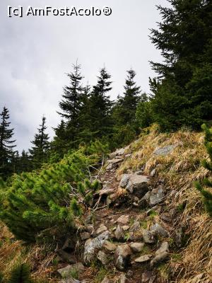 [P17] Urcare spre Negoiu Unguresc » foto by cata2106
 - 
<span class="allrVoted glyphicon glyphicon-heart hidden" id="av1256257"></span>
<a class="m-l-10 hidden" id="sv1256257" onclick="voting_Foto_DelVot(,1256257,21597)" role="button">șterge vot <span class="glyphicon glyphicon-remove"></span></a>
<a id="v91256257" class=" c-red"  onclick="voting_Foto_SetVot(1256257)" role="button"><span class="glyphicon glyphicon-heart-empty"></span> <b>LIKE</b> = Votează poza</a> <img class="hidden"  id="f1256257W9" src="/imagini/loader.gif" border="0" /><span class="AjErrMes hidden" id="e1256257ErM"></span>