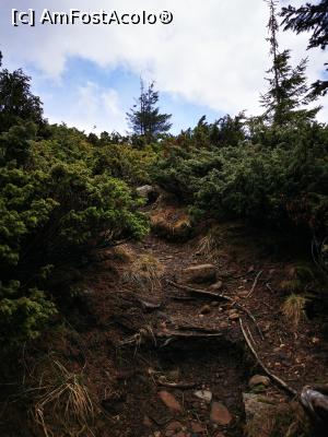 [P18] Urcare spre Negoiu Unguresc » foto by cata2106
 - 
<span class="allrVoted glyphicon glyphicon-heart hidden" id="av1256258"></span>
<a class="m-l-10 hidden" id="sv1256258" onclick="voting_Foto_DelVot(,1256258,21597)" role="button">șterge vot <span class="glyphicon glyphicon-remove"></span></a>
<a id="v91256258" class=" c-red"  onclick="voting_Foto_SetVot(1256258)" role="button"><span class="glyphicon glyphicon-heart-empty"></span> <b>LIKE</b> = Votează poza</a> <img class="hidden"  id="f1256258W9" src="/imagini/loader.gif" border="0" /><span class="AjErrMes hidden" id="e1256258ErM"></span>