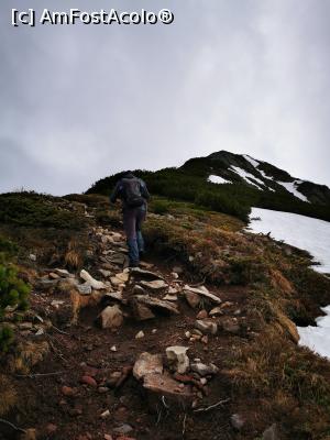 [P20] Urcare spre Negoiu Unguresc » foto by cata2106
 - 
<span class="allrVoted glyphicon glyphicon-heart hidden" id="av1256260"></span>
<a class="m-l-10 hidden" id="sv1256260" onclick="voting_Foto_DelVot(,1256260,21597)" role="button">șterge vot <span class="glyphicon glyphicon-remove"></span></a>
<a id="v91256260" class=" c-red"  onclick="voting_Foto_SetVot(1256260)" role="button"><span class="glyphicon glyphicon-heart-empty"></span> <b>LIKE</b> = Votează poza</a> <img class="hidden"  id="f1256260W9" src="/imagini/loader.gif" border="0" /><span class="AjErrMes hidden" id="e1256260ErM"></span>