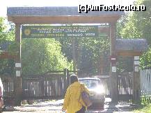 [P02] Poarta tradiţională de la intrare » foto by corinka
 - 
<span class="allrVoted glyphicon glyphicon-heart hidden" id="av88478"></span>
<a class="m-l-10 hidden" id="sv88478" onclick="voting_Foto_DelVot(,88478,21664)" role="button">șterge vot <span class="glyphicon glyphicon-remove"></span></a>
<a id="v988478" class=" c-red"  onclick="voting_Foto_SetVot(88478)" role="button"><span class="glyphicon glyphicon-heart-empty"></span> <b>LIKE</b> = Votează poza</a> <img class="hidden"  id="f88478W9" src="/imagini/loader.gif" border="0" /><span class="AjErrMes hidden" id="e88478ErM"></span>