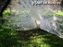 [P06] Sau poate se credea pe catwalk... » foto by corinka
 - 
<span class="allrVoted glyphicon glyphicon-heart hidden" id="av88484"></span>
<a class="m-l-10 hidden" id="sv88484" onclick="voting_Foto_DelVot(,88484,21664)" role="button">șterge vot <span class="glyphicon glyphicon-remove"></span></a>
<a id="v988484" class=" c-red"  onclick="voting_Foto_SetVot(88484)" role="button"><span class="glyphicon glyphicon-heart-empty"></span> <b>LIKE</b> = Votează poza</a> <img class="hidden"  id="f88484W9" src="/imagini/loader.gif" border="0" /><span class="AjErrMes hidden" id="e88484ErM"></span>