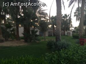 [P06]  -- <small>// FĂRĂ DESCRIERE</small> » foto by dianna
 - 
<span class="allrVoted glyphicon glyphicon-heart hidden" id="av1083906"></span>
<a class="m-l-10 hidden" id="sv1083906" onclick="voting_Foto_DelVot(,1083906,21667)" role="button">șterge vot <span class="glyphicon glyphicon-remove"></span></a>
<a id="v91083906" class=" c-red"  onclick="voting_Foto_SetVot(1083906)" role="button"><span class="glyphicon glyphicon-heart-empty"></span> <b>LIKE</b> = Votează poza</a> <img class="hidden"  id="f1083906W9" src="/imagini/loader.gif" border="0" /><span class="AjErrMes hidden" id="e1083906ErM"></span>