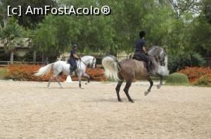 [P08] La antrenament » foto by cinecita
 - 
<span class="allrVoted glyphicon glyphicon-heart hidden" id="av839822"></span>
<a class="m-l-10 hidden" id="sv839822" onclick="voting_Foto_DelVot(,839822,21679)" role="button">șterge vot <span class="glyphicon glyphicon-remove"></span></a>
<a id="v9839822" class=" c-red"  onclick="voting_Foto_SetVot(839822)" role="button"><span class="glyphicon glyphicon-heart-empty"></span> <b>LIKE</b> = Votează poza</a> <img class="hidden"  id="f839822W9" src="/imagini/loader.gif" border="0" /><span class="AjErrMes hidden" id="e839822ErM"></span>