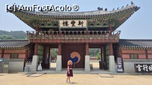 [P03] Poarta Sinpungnu este poarta principala, primul lucru pe care l-am vazut de departe, traversand masiva Piata Haenggung, grandiosa, exact ca portile marilor palate pe care le-am vazut in Seul. Numele inseamna „Noul Oras Natal”, reflectand dragostea pe care regele Jeongjo o avea pentru Suwon. In fata acestei porti, regele s-a prezentat personal si a impartit orez locuitorilor din Hwaseongbu si a facut terci pentru a hrani oamenii infometati. » foto by geani anto
 - 
<span class="allrVoted glyphicon glyphicon-heart hidden" id="av1518102"></span>
<a class="m-l-10 hidden" id="sv1518102" onclick="voting_Foto_DelVot(,1518102,21685)" role="button">șterge vot <span class="glyphicon glyphicon-remove"></span></a>
<a id="v91518102" class=" c-red"  onclick="voting_Foto_SetVot(1518102)" role="button"><span class="glyphicon glyphicon-heart-empty"></span> <b>LIKE</b> = Votează poza</a> <img class="hidden"  id="f1518102W9" src="/imagini/loader.gif" border="0" /><span class="AjErrMes hidden" id="e1518102ErM"></span>