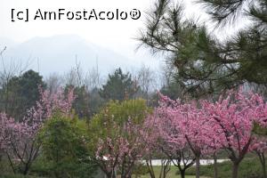 [P12] Xian » foto by AZE
 - 
<span class="allrVoted glyphicon glyphicon-heart hidden" id="av842349"></span>
<a class="m-l-10 hidden" id="sv842349" onclick="voting_Foto_DelVot(,842349,21716)" role="button">șterge vot <span class="glyphicon glyphicon-remove"></span></a>
<a id="v9842349" class=" c-red"  onclick="voting_Foto_SetVot(842349)" role="button"><span class="glyphicon glyphicon-heart-empty"></span> <b>LIKE</b> = Votează poza</a> <img class="hidden"  id="f842349W9" src="/imagini/loader.gif" border="0" /><span class="AjErrMes hidden" id="e842349ErM"></span>